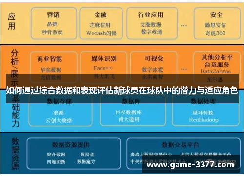 如何通过综合数据和表现评估新球员在球队中的潜力与适应角色