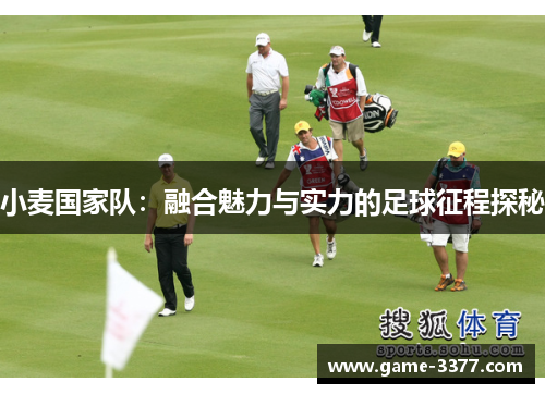 小麦国家队：融合魅力与实力的足球征程探秘