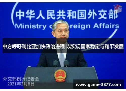 中方呼吁利比亚加快政治进程 以实现国家稳定与和平发展